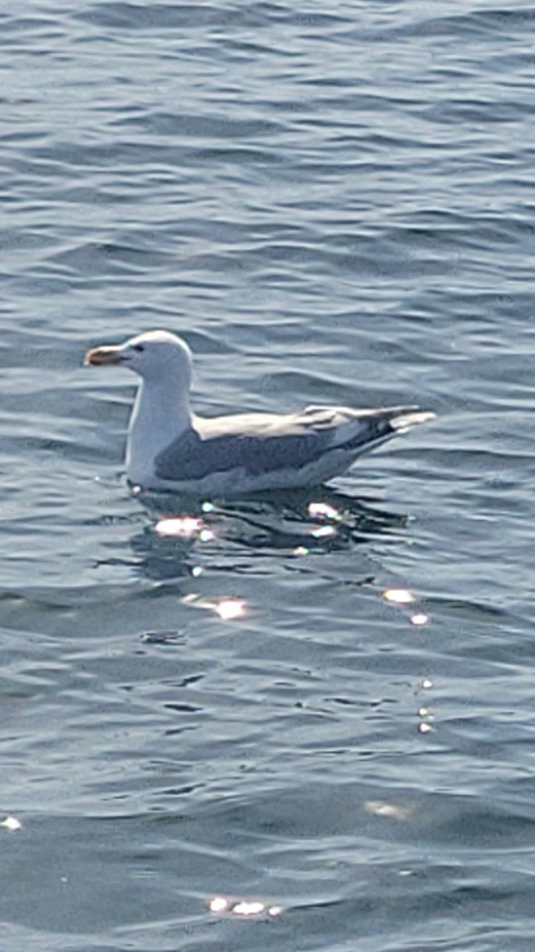 Test282